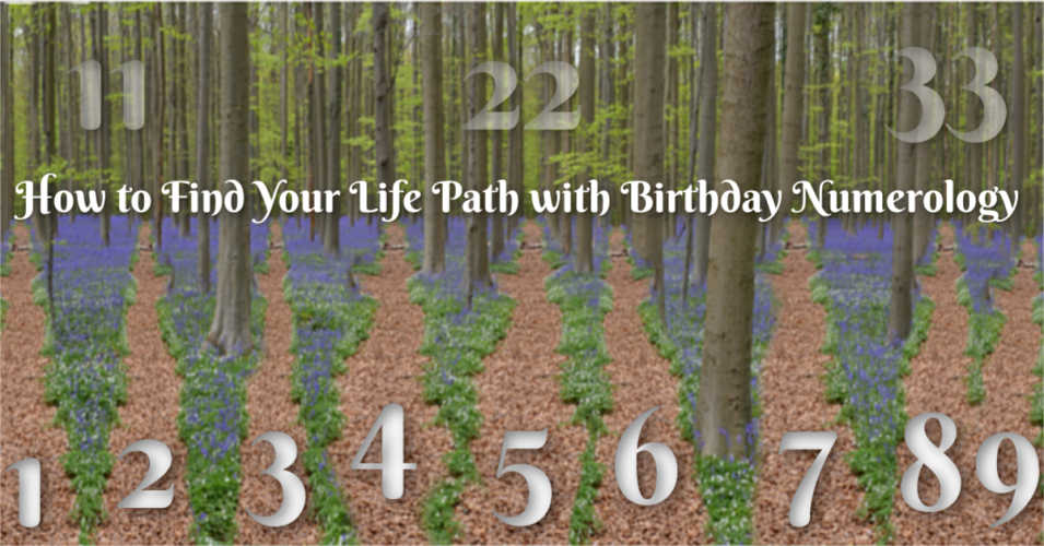 birthday numerology 7