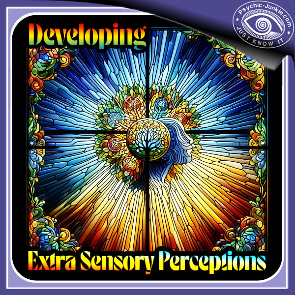 Developing Extra Sensory Perception