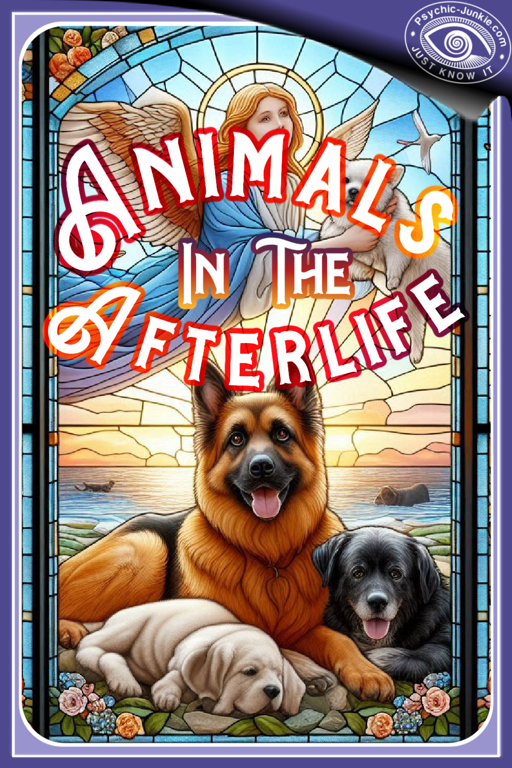 Is There Afterlife For Animals?
