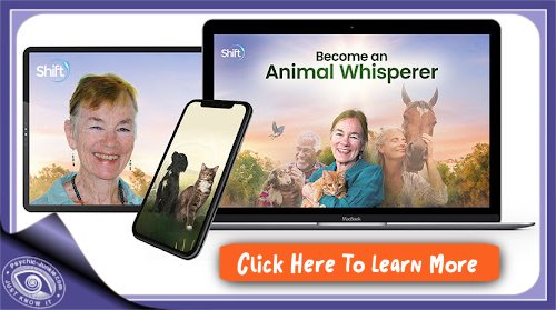 Click here to learn more about this Online Animal Whisperer Course with Penelope Smith