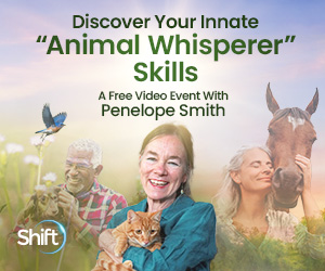 Become A Telepathic Animal Whisperer 